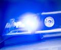 Bild: Lino Mirgeler/dpa
Laut Polizei hatte ein Verkehrsteilnehmer die entlaufenen Kühe bei der Polizei gemeldet. (Symbolbild)