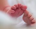 Bild: Arno Burgi/dpa-Zentralbild/dpa
Im ersten Halbjahr wurden in Bayern weniger Kinder geboren. (Illustration)