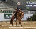 Bild: Art&amp;Lights
Auf Gut Matheshof werden die German Open im Westernreiten ausgetragen.