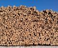 Symbolbild: dob
Unbekannte Täter entwenden 18 Ster Holz von einem Lagerplatz in Kastl. Die Polizei ermittelt und sucht Zeugen.