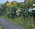 Bild: vsr
Das Radwegenetz in der Gemeinde Krummennaab soll noch im Herbst um eine Abzweigung zum Erlenweiher in Thumsenreuth ausgebaut werden.