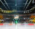 Archivbild: Samla 
Unglaubliche Choreografie in der Krefelder Yayla-Arena. Schaffen die Pinguine diese Saison endlich den sehnlichen Sprung in die DEL oder korrigiert die Düsseldorfer EG den Systemabsturz der vergangenen Saison direkt? Alle 14 DEL2-Teams in der Übersicht.