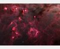 Bild: -/ESA/Gaia/DPAC, S. Payne-Wardenaar, L. McCallum et al (2025)/dpa
Eine Animation der Esa zeigt einen Ausschnitt aus der 3D-Karte zu Regionen unserer Milchstraße, in denen neue Sterne entstehen.