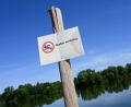 Bild: Uwe Zucchi/dpa
Wer im Rothsee badet, riskiert Durchfall und Ausschlag. (Archivbild)