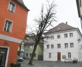 Bild: Gabi Schönberger
Am Pfarrplatz in der Weidener Altstadt stand diese Akazie. Sie wurde inzwischen gefällt und nicht ersetzt. Die Grünen wollen, dass im Haushalt der Stadt Geld für Neupflanzungen eingeplant wird.