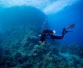 Bild: Creativ-Action.de
Tief unten im Meer ist Unterwasserfotograf Peter Stiewing in seinem Element. Sobald er abtaucht, vergisst er den Alltag, der oben ansonsten sein Leben bestimmt.