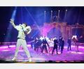 Bild: Felix Hörhager
Der Circus Krone präsentiert am Amberger Dultplatz sein Programm "Farbenspiel – Gold Edition".
