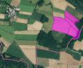 Bild: Firma Orsted Onshore Deutschland GmbH/exb
Östlich von Matzenhof (links oben) liegt rechts das markierte Gebiet der geplanten 17 Hektar großen Solaranlage an der Gemeindegrenze, in direkter Nähe zum Umspannwerk Lauterhofen (Bildmitte).