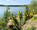 Archivbild: Gabi Schönberger
Das Projekt "NEW Seenland" am Dießfurter Freizeitsee stockt. Investoren sind interessiert, aber es gibt ein Anbindungsproblem und hohe Kosten für die Erschließung.