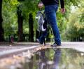 Bild: Sven Hoppe/dpa
Der DWD hat für den Freistaat zum kalendarischen Herbstanfang regnerisches und kühles Wetter vorhergesagt. (Archivbild)
