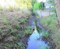 Archivbild: Kunz
Der Rehmühlbach versickert, weil er im Zulauf nicht genügend Wasser abbekommt. Langfristig soll der Bachlauf saniert und umgestaltet werden. Die Planungen dafür sind aufwendig.