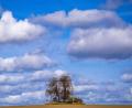 Bild: Jens Büttner/dpa
Der Herbst ist da