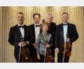 Bild: Jonas Diener/exb
Das Gustav-Mahler-Ensemble gibt in Wernberg-Köblitz ein Konzert.