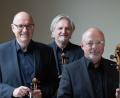 Bild: Offenburger Streichtrio/exb
Das Offenburger Streichtrio spielt beim Goldenen Oktober in Schwandorf