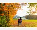 Symbolbild: Elsa Becke – stock.adobe.com
Der Herbst ist nicht nur grau, sondern eigentlich ganz schön bunt.
