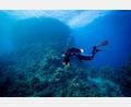 Bild: Creativ-Action.de
Tief unten im Meer ist Unterwasserfotograf Peter Stiewing in seinem Element. Sobald er abtaucht, vergisst er den Alltag, der oben ansonsten sein Leben bestimmt.