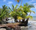 Bild: picture alliance / dpa
Der Fund zweier Leichen auf dem Grundstück eines deutschen Paares in Costa Rica gibt Rätsel auf. (Archivbild)
