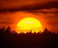 Bild: Patrick Pleul/dpa
Farbenprächtig leuchtet der Sonnenuntergang hinter einem Waldgebiet im östlichen Brandenburg.