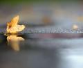Bild: Thomas Warnack/dpa
Noch hält sich die herbstliche Zweiteilung beim Wetter in Deutschland. (Archivbild)