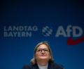 Bild: Peter Kneffel/dpa
Die Landtags-AfD präsentiert nach ihrer Klausur ein ganzes Paket von Forderungen, insbesondere zum Thema Einbürgerungen. (Archivbild)