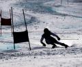 Bild: David Taneèek/CTK/dpa
Im Ski-Weltcup wird es künftig nach einem Beschluss des Weltverbandes FIS Geschlechtertests geben. (Archivfoto)