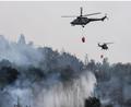 Archivbild: Robert Michael/dpa
Hubschrauber kamen 2022 bei dem Waldbrand im Grenzland zwischen Sachsen und Tschechien zum Einsatz.