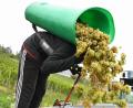 Bild: Arne Dedert/dpa
Von Baden bis zum Rheingau ist die Weinlese schon beendet.