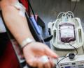 Bild: Oliver Berg/dpa
Blutspenden retten Leben. (Archivbild)