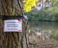 Bild: Daniel Karmann/dpa
Am Langwassersee in Nürnberg gab es ein rätselhaftes Fischsterben.