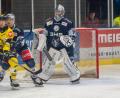 Archivbild: Christian Kaminsky/exb
Daniel Allavena (rechts, hier noch im Trikot der Blue Devils Weiden) wechselt von den Nürnberg Ice Tigers mit sofortiger Wirkung zu den Saale Bulls Halle in die Eishockey-Oberliga Nord.
