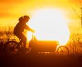 Symbolbild: Julian Stratenschulte/dpa
Lastenrad im Sonnenuntergang. In Amberg und Sulzbach-Rosenberg soll im kommenden Frühjahr ein Gratis-Lastradverleih starten. Ganz unromantisch und sehr praktisch.