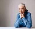 Bild: Victoria Will/Invision/AP/dpa
Die berühmte Schimpansenforscherin Jane Goodall ist im Alter von 91 Jahren gestorben. (Archivbild)