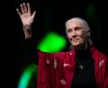 Bild: Sven Hoppe/dpa
Der Tod der berühmten Schimpansenforscherin Jane Goodall hat weltweit Trauer ausgelöst. (Archivbild)