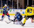 Bild: Werner Moller
Devils-Youngster Felix Noack kommt vor DEL-Routinier und Ex-Nationalspieler Phillip Gogulla an die Scheibe. In den kommenden Wochen steht den Devils durch den Ausfall von Michael McNiven kein etatmäßiger Torwarttrainer zur Verfügung.