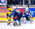 Bild: Tobias Neubert
Felix Noack (rechts) konnte im Tor der Blue Devils Weiden die Heimniederlage gegen die Lausitzer Füchse nicht verhindern.