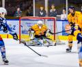 Bild: Tobias Neubert
Lennart Neiße (Mitte) stand überraschend im Tor der Lausitzer Füchse und hielt gegen die Blue Devils Weiden bravourös.