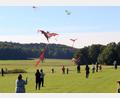 Bild: mfh
Große, kleine und manch komische Vögel tummelten sich am Freitag auf dem Flugfeld der Luftsportgruppe Sulzbach-Rosenberg in Fichtelbrunn.