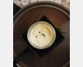 Bild: David Zilber/dpa
Joghurt-Rezept einmal anders: Man nehme vier Ameisen...