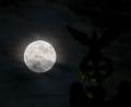 Bild: Soeren Stache/dpa
Der Mond kommt der Erde näher. (Archivbild)