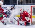 Bild: Tobias Neubert
Eine Szene aus dem Duell der Eisbären Regensburg mit den Blue Devils Weiden in der Vorsaison 2024/25.
