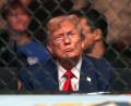 Bild: Steve Marcus/Las Vegas Sun via AP/dpa
Trump gilt als Fan der Kampfsport-Liga UFC und saß mehrfach selbst im Publikum. (Archivbild)