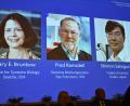 Bild: Claudio Bresciani/TT News Agency/AP/dpa
Die Medizin-Nobelpreisträger stehen fest.