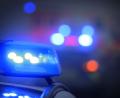 Bild: Karl-Josef Hildenbrand/dpa
Die Polizei gab bei ihrem Einsatz zwei Schüsse ab. (Symbolbild)