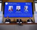 Bild: Claudio Bresciani/TT News Agency/AP/dpa
Den Nobelpreis für Physik erhalten 2025 die Quantenphysiker John Clarke, Michel Devoret und John Martinis.