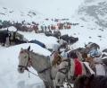 Bild: Lingsuiye/Xinhua/dpa
Ochsen und Pferde wurden bei der Suche nach den Wanderern eingesetzt.
