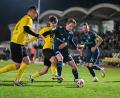 Bild: Loeffler, Jonas
Die Fotos zum Spiel des FC Amberg gegen den TSV 1860 München.