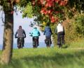 Symbolbild: Thomas Warnack/dpa
Viele Radfahrer nutzen schöne Herbsttage für Touren. Sie können sich in der neuen Radkarte für das Oberpfälzer Hügelland inspirieren lassen.