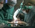 Bild: Jan-Peter Kasper/dpa-Zentralbild/dpa
In Deutschland warten über 8.000 Menschen auf eine Organspende, vielfach schon seit Jahren.