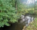 Bild: amö
Hier, an der Hundhagermühle deutet nichts auf die Defizite der Ascha hin. Nach Erkenntnissen der Fachleute ist aber über die Hälfte des Flusses in keinem guten Zustand.