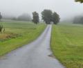 Bild: kro
Dieser neue Radweg bei Poppenreuth darf künftig nur noch von Radfahrern, Anliegern und für die Landwirtschaft genutzt werden. Entsprechende Schilder werden noch aufgestellt.